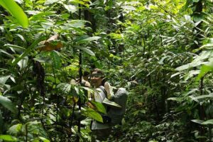 Bukit Lawang Trekking | Bukit Lawang Trekking Sumatra Orangutan Bad Cave