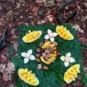 Bukit Lawang Trekking | Bukit Lawang Trekking Activities