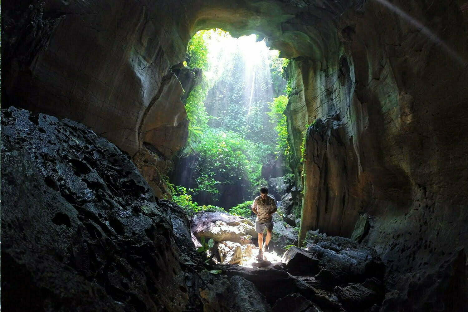 Bad Cave Bukit Lawang