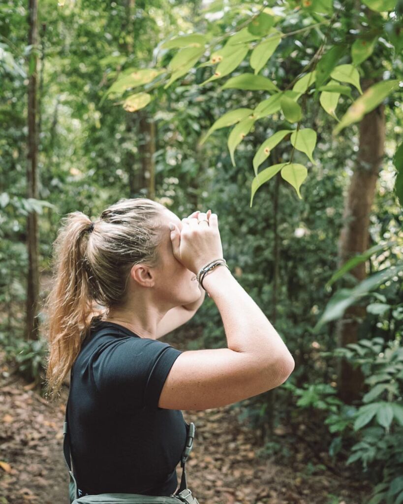 Bukit Lawang Trekking Jungle Inn