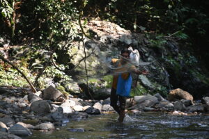 Bukit Lawang Trekking | 