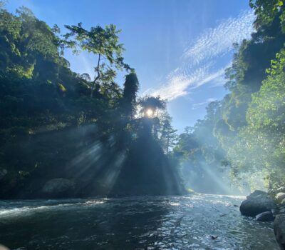 PT.BUKIT LAWANG TREKKING