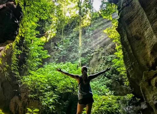 Bat Cave Bukit Lawang Sumatra Tours