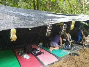 Bukit Lawang Tour