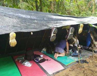 Bukit Lawang Tour