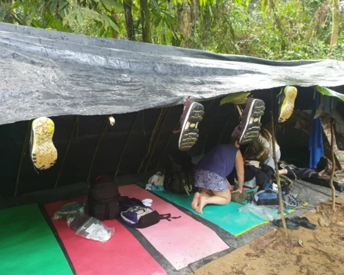 Bukit Lawang Tour