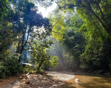 Bukit Lawang Jungle campsites Tour