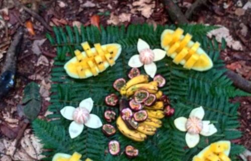 Bukit Lawang Fruit