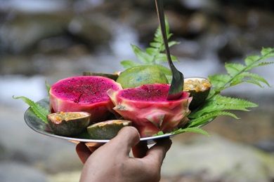 Bukit Lawang Sumatra