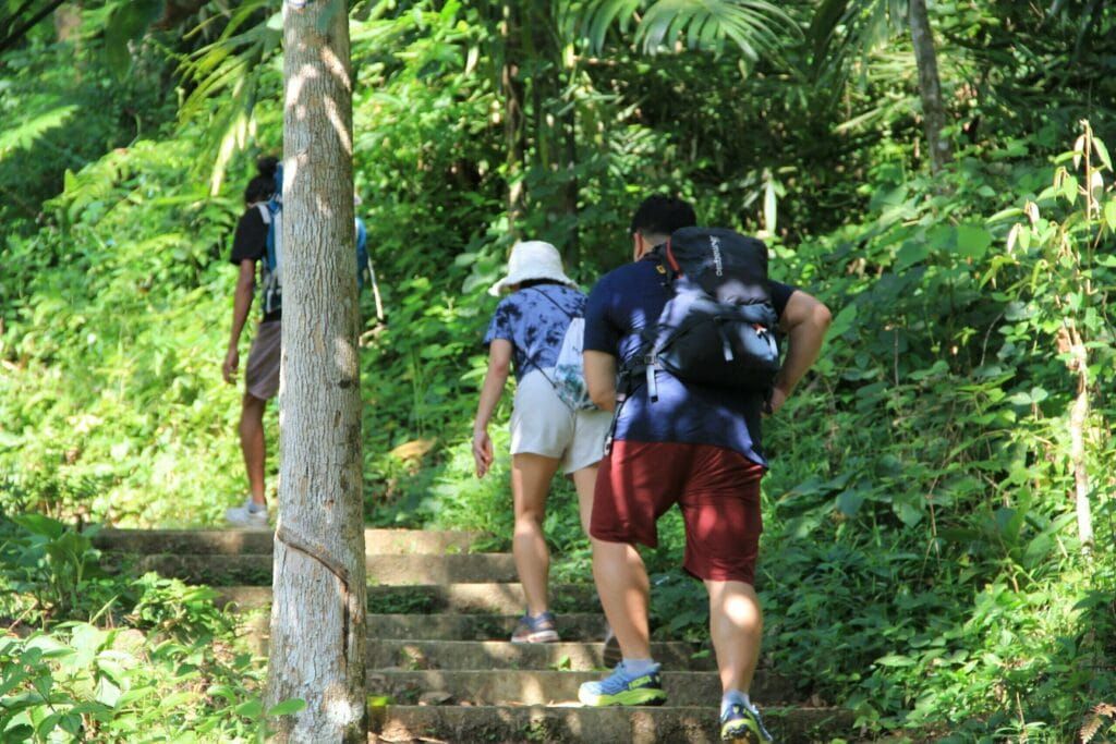 Bukit Lawang Trekking Bukit Lawang Trekking