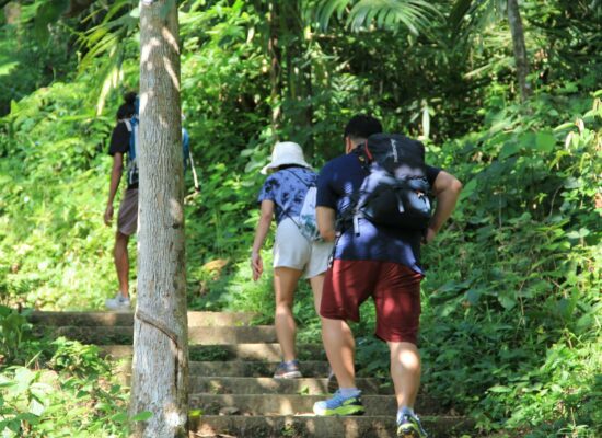 Bukit Lawang Trekking