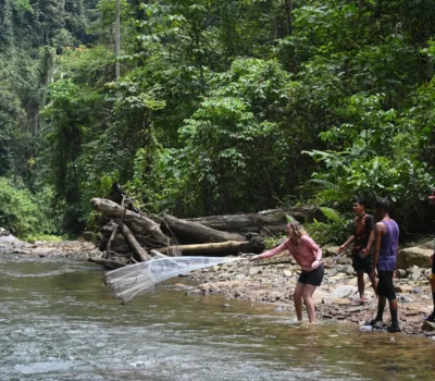 Bukit Lawang Trekking