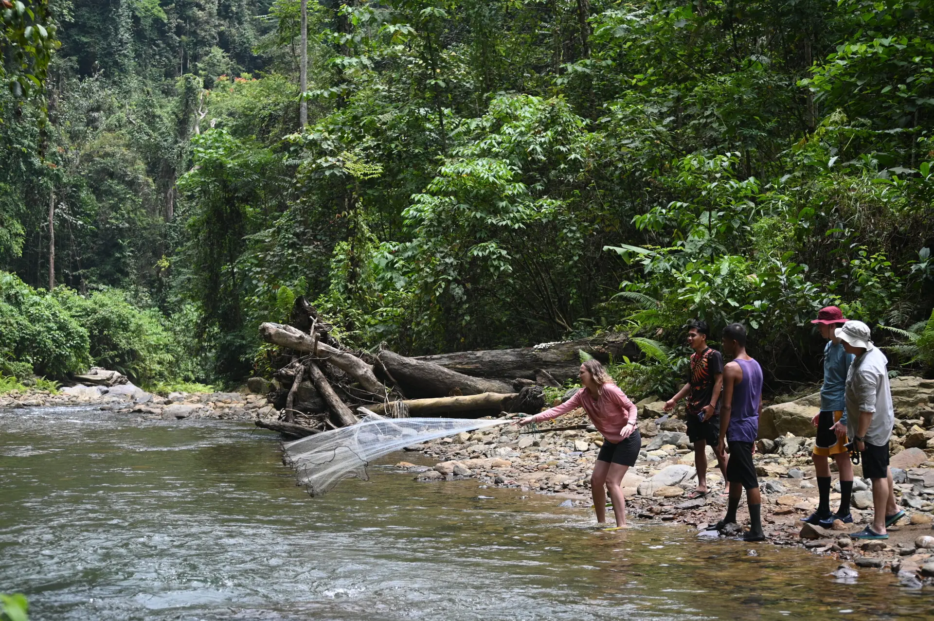 bukit lawang trekking | bukit lawang trekking Bukit Lawang Trekking
