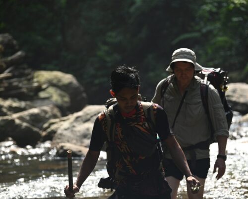 Bukit Lawang Jungle Trek Explore Beautiful Nature