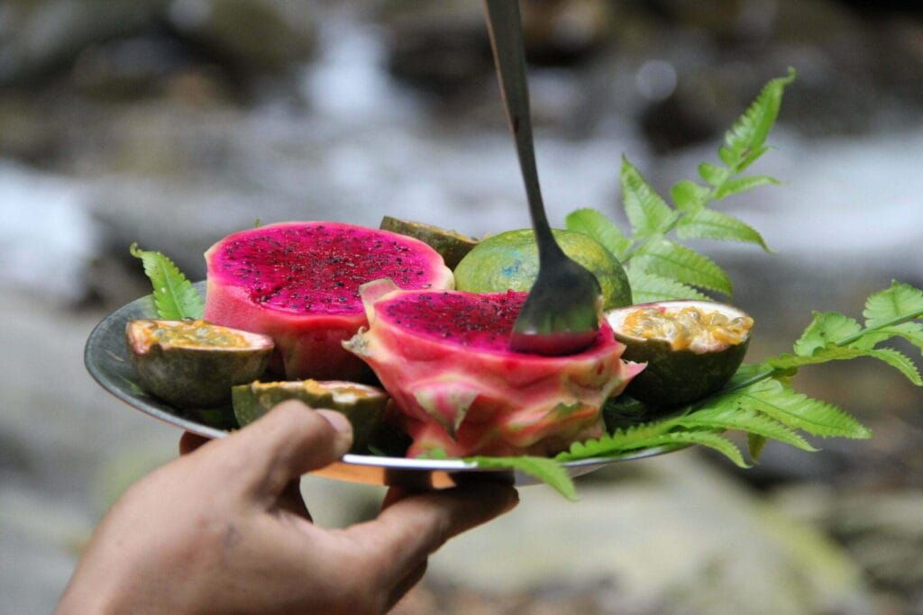 bukit lawang trekking fruit salad | bukit lawang trekking Bukit Lawang Trekking Fruit Salad