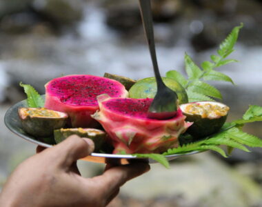 Bukit Lawang Trekking Fruit Salad