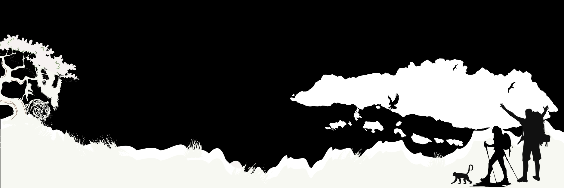 bukit lawang trekking protect wildlife | bukit lawang trekking Bukit Lawang Trekking Protect Wildlife