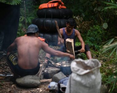 Bukit Lawang Trekking Rainforest