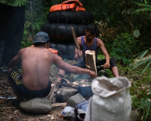 Bukit Lawang Trekking Rainforest