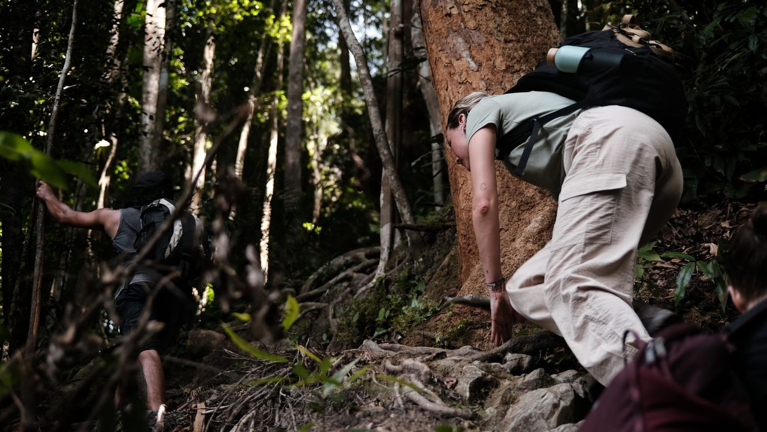 bukit lawang trekking sumatra adventure | bukit lawang trekking Bukit Lawang Trekking Sumatra Adventure