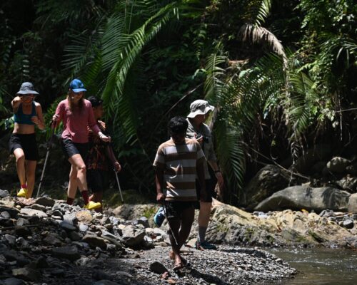 Bukit Lawang Trekking Sumatra Tour