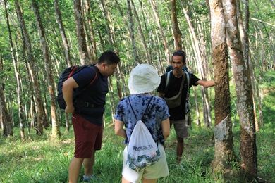 Bukit Lawang Trekking Tours