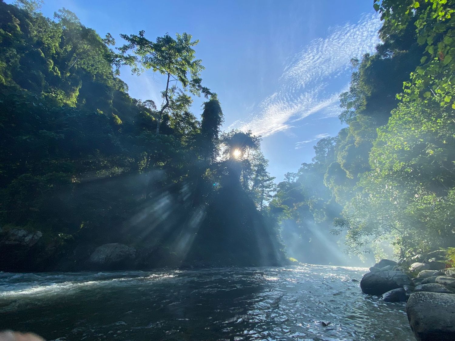 pt.bukit lawang trekking | bukit lawang trekking PT.BUKIT LAWANG TREKKING