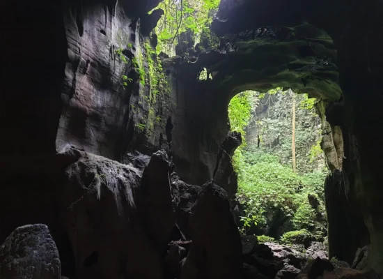 Bukit LawangBat Cave Tour