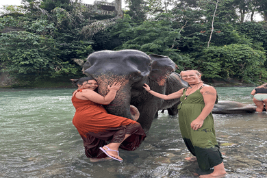 Bukit lawang Tangkahan Tour Bukit lawang Tangkahan Tour