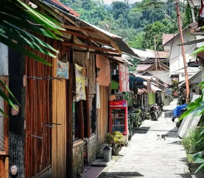 Sumatra Jungle Trekking