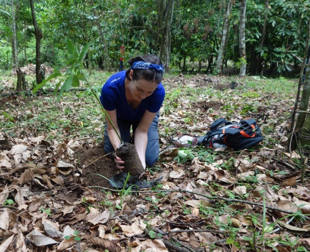menanam-pohon-di-alam | bukit lawang trekking Menanam-Pohon-di-Alam