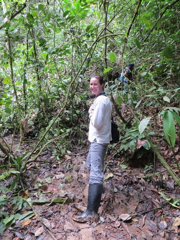 menanam-pohon | bukit lawang trekking Menanam-Pohon