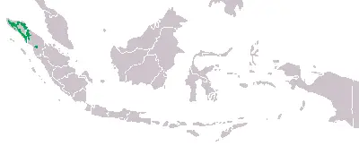 orangutan | bukit lawang trekking Orangutan Map