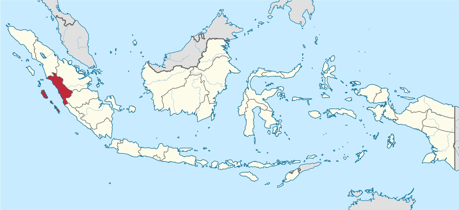 sumatra information | bukit lawang trekking Sumatra Information