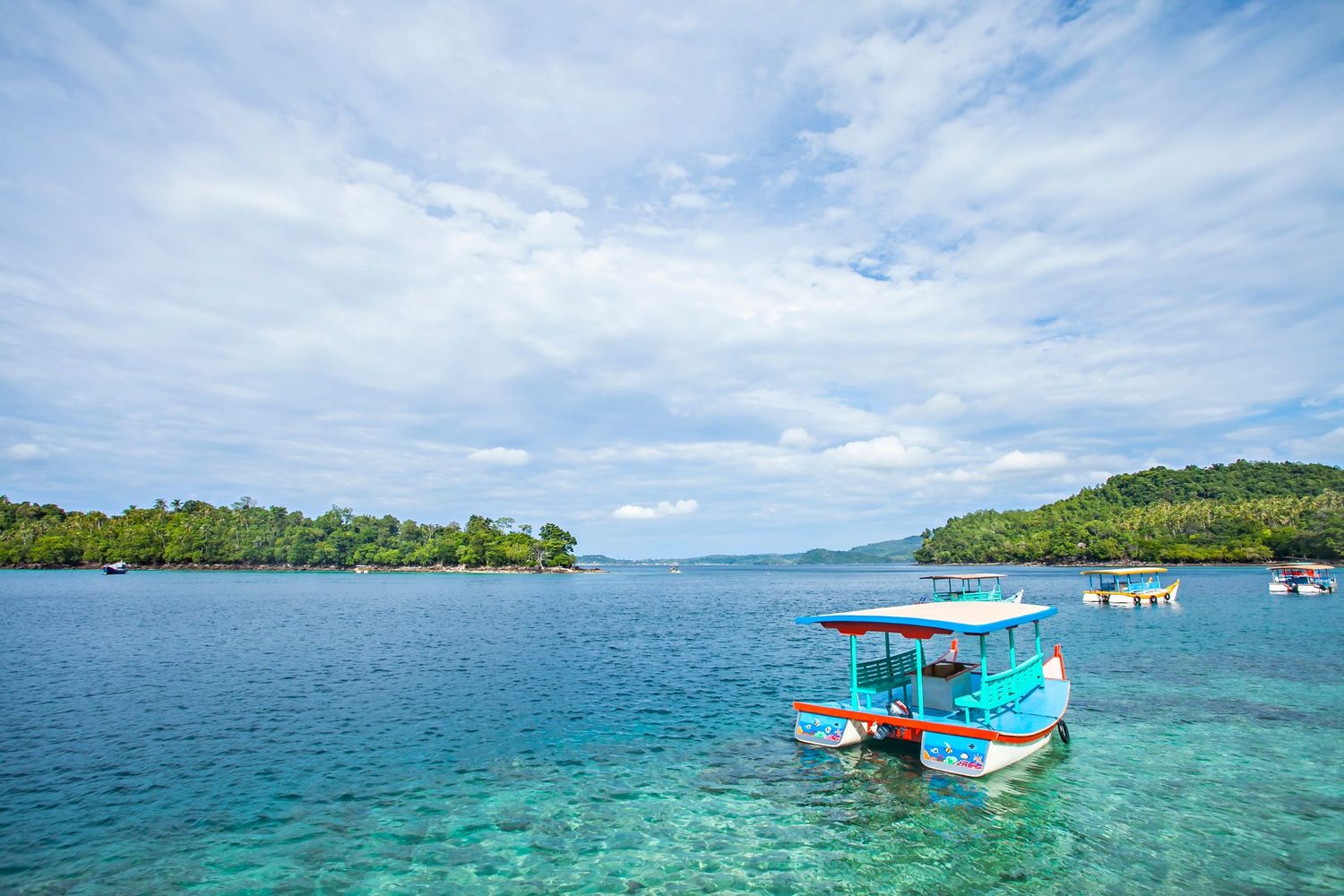 sumatra trekking | bukit lawang trekking Sumatra Trekking