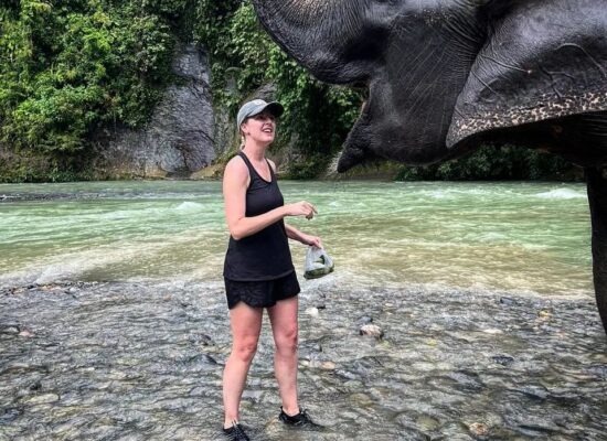 Sumatra Elephant Tangkahan
