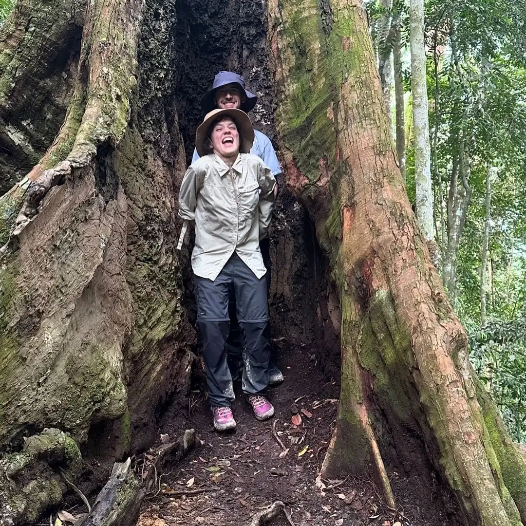 How to Visit Bukit Lawang to See Orangutans: A Comprehensive Guide