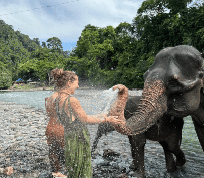 Bukit Lawang Trekking Sumatra adventure tour
