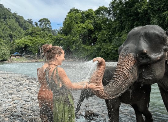 Bukit Lawang Trekking Sumatra adventure tour