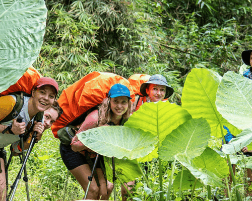 Review bukit lawang trekking