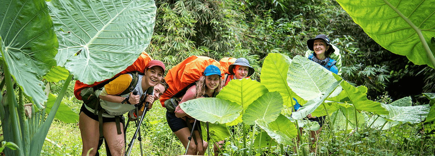 Bukit Lawang Trekking 5 Review bukit lawang trekking