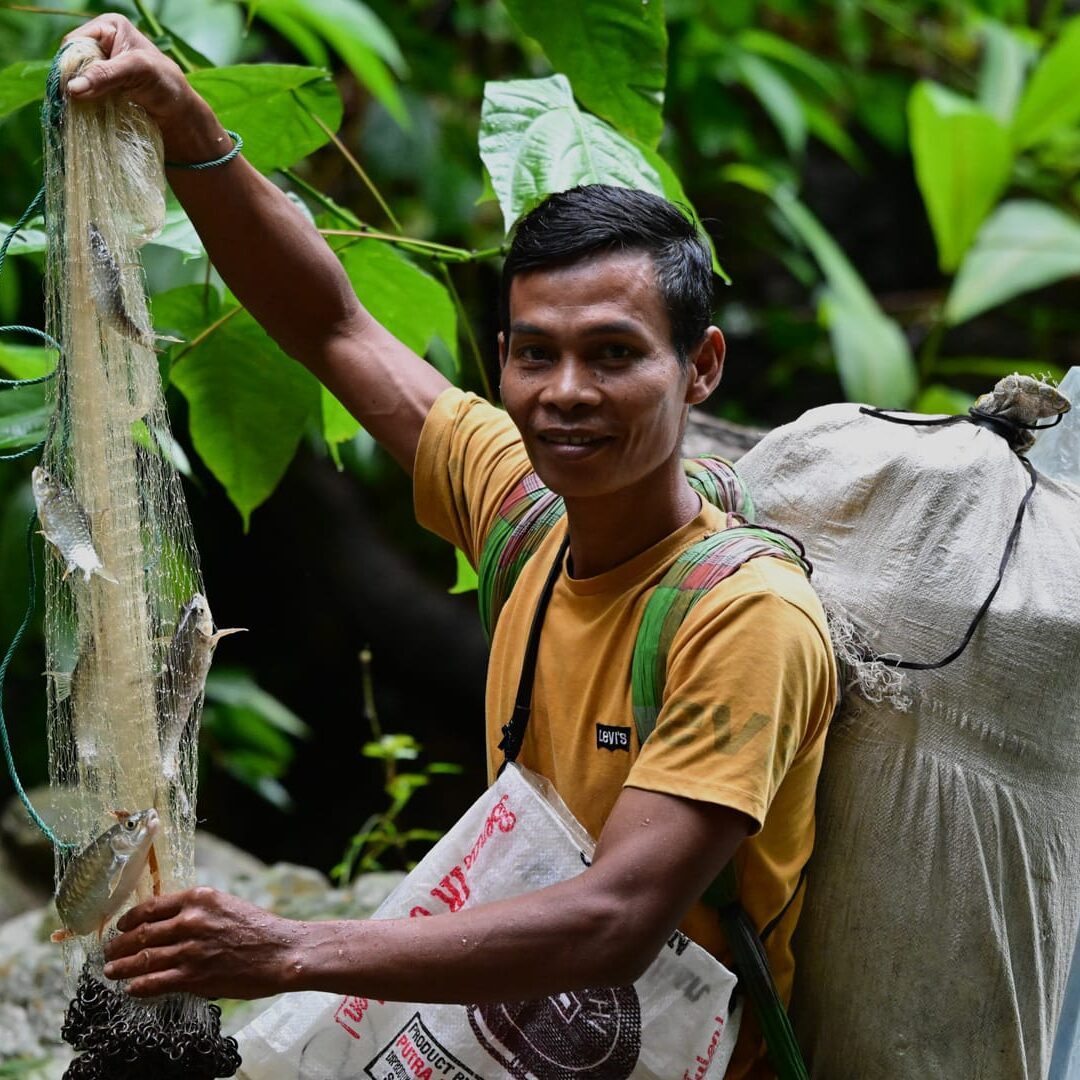Bukit Lawang Trekking Fhising Arean Bukit Lawang Trekking Fhising Arean