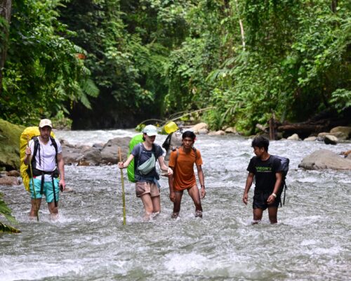 Bukit Lawang Trekking five-day Adventure