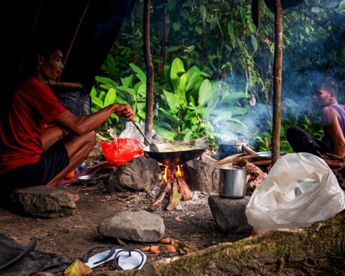 Bukit Lawang Trekking Hornbill