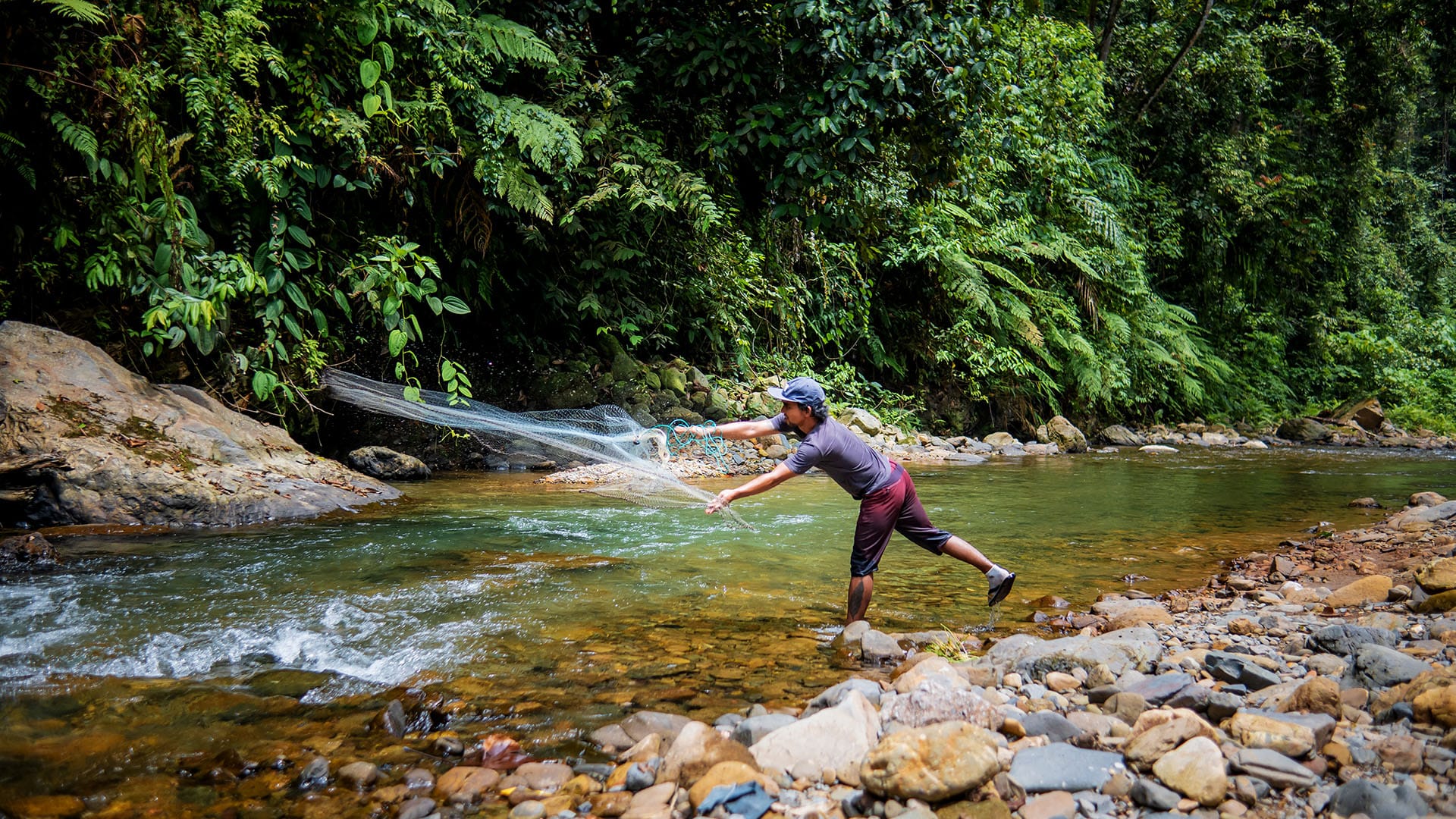 Bukit Lawang Trekking 2 Bukit Lawang Trekking Jorney Three Days