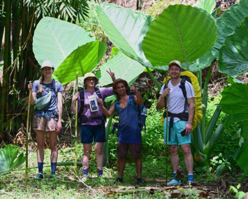 Bukit Lawang Trekking Sumatra