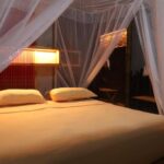 Ecolodge Bukit Lawang
