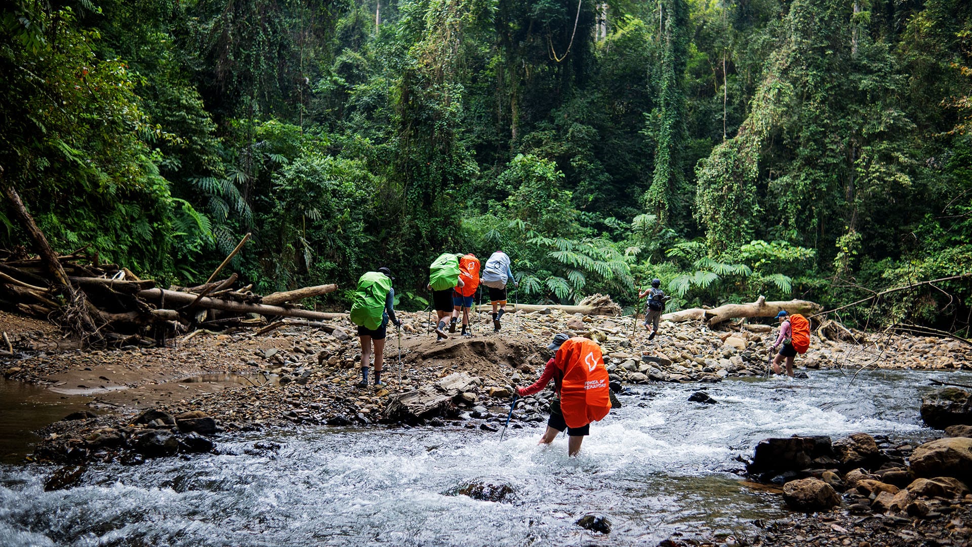 Indonesia Sumatra Bukit Lawang Trekking Six Days Jungle Trek