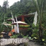 Hotel Jungle Inn