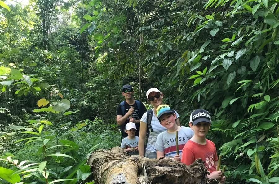 Bukit Lawang Trekking